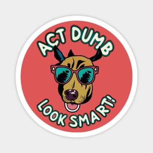 act dumb look smart Magnet